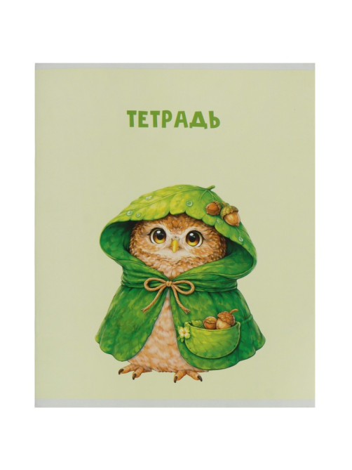 Тетрадь 36 листов в клетку Calligrata «Совушки», блок офсет, 5 В МИКС