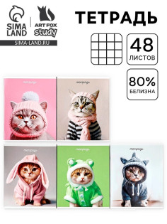 Тетрадь в клетку, 48 л., А5, на скрепке, блок №2 «Котики» МИКС