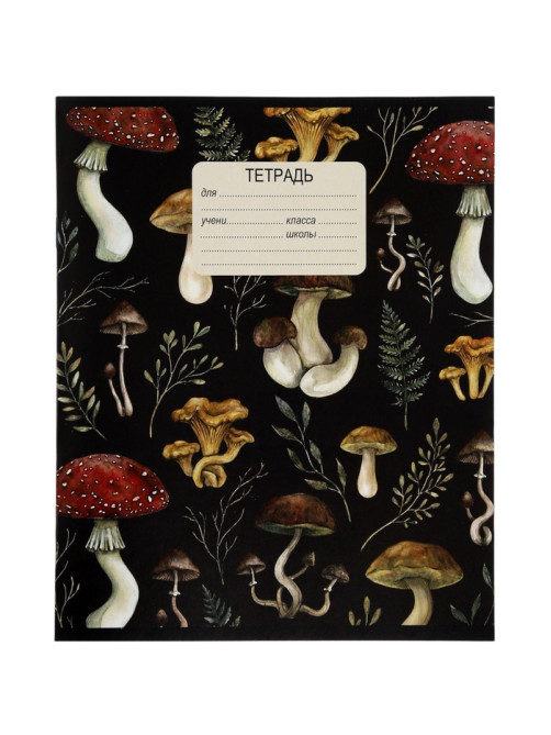 Тетрадь 12 листов в клетку Calligrata «Грибы», блок офсет, 5 В МИКС