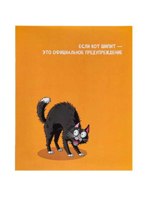Тетрадь 24 листа в линейку Calligrata «Кошачьи мемы», блок офсет, 5 В МИКС
