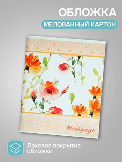 Набор тетрадей 96 листов в клетку Calligrata 