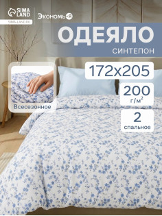 Одеяло 2-спальное «Экономь и Я», 172×205 см, синтепон 200 г/м²
