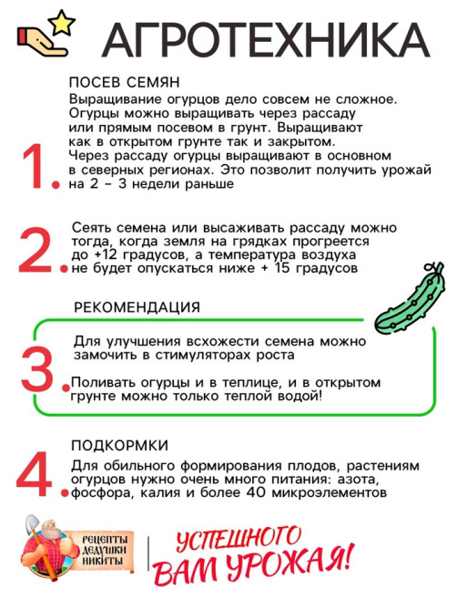 Семена Огурец «Нежинский», 0.5 г, «Рецепты дедушки Никиты»