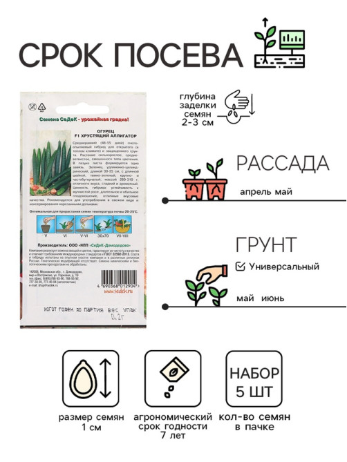 Семена Огурец «Хрустящий аллигатор », набор 5 шт., «Рецепты дедушки Никиты»