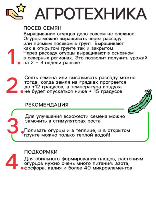 Семена огурца 