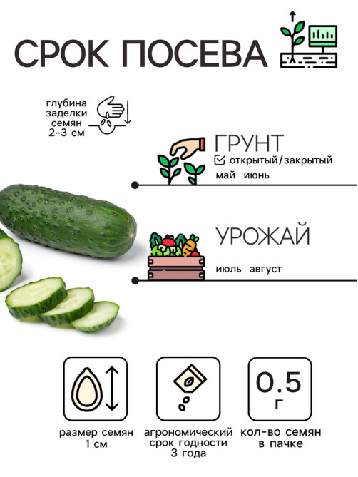 Семена Огурец «Кустовой», 0.5 г, «Рецепты дедушки Никиты»