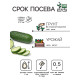 Семена Огурец «Кустовой», 0.5 г, «Рецепты дедушки Никиты»