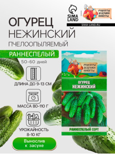 Семена Огурец «Нежинский», 0.5 г, «Рецепты дедушки Никиты»