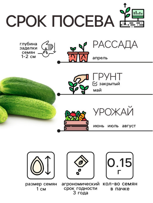 Семена Огурец «Зозуля», 0.15 г, «Рецепты дедушки Никиты»