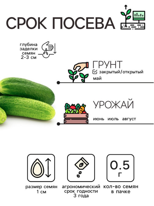 Семена Огурец «Нежинский», 0.5 г, «Рецепты дедушки Никиты»