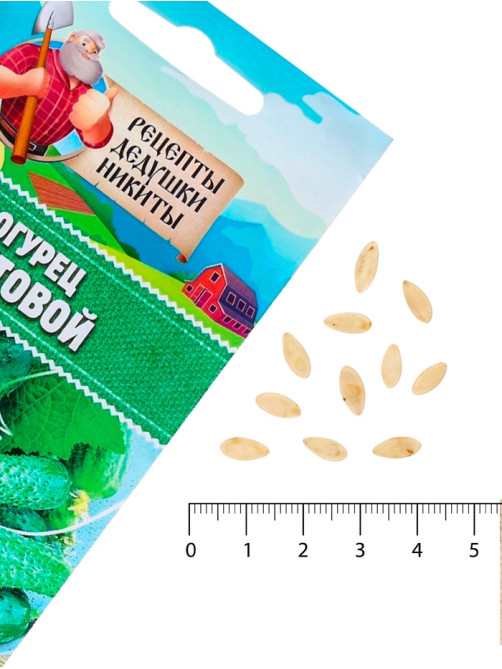 Семена Огурец «Кустовой», 0.5 г, «Рецепты дедушки Никиты»
