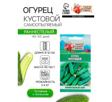 Семена Огурец «Кустовой», 0.5 г, «Рецепты дедушки Никиты»