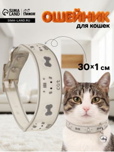 Ошейник для кошек «Пижон. Котя», 30×1 см, со светоотражающим покрытием, серый