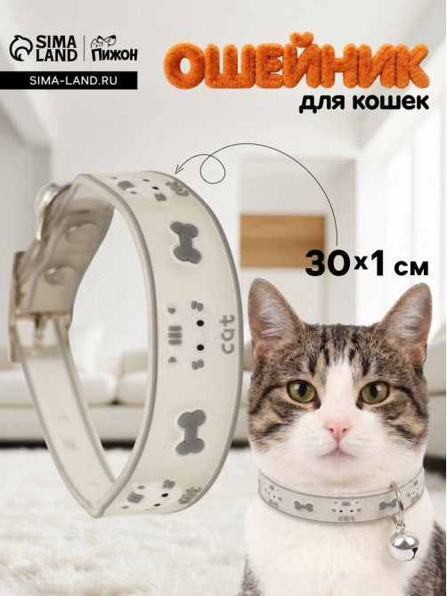 Ошейник для кошек «Пижон. Котя», 30×1 см, со светоотражающим покрытием, серый
