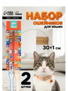 Набор ошейников для кошек «Пижон. Котя», 30×1 см, оранжевый, синий