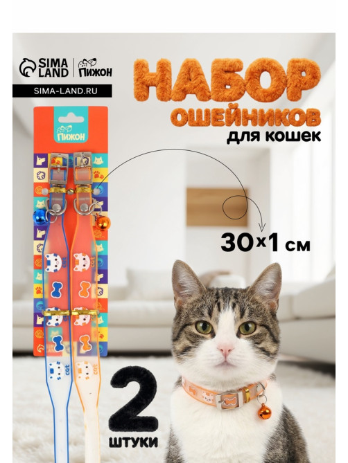 Набор ошейников для кошек «Пижон. Котя», 30×1 см, оранжевый, синий