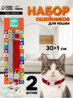 Набор ошейников для кошек «Пижон», 30×1 см, серый, красный