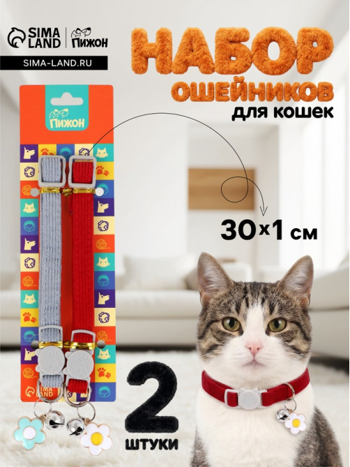 Набор ошейников для кошек «Пижон», 30×1 см, серый, красный