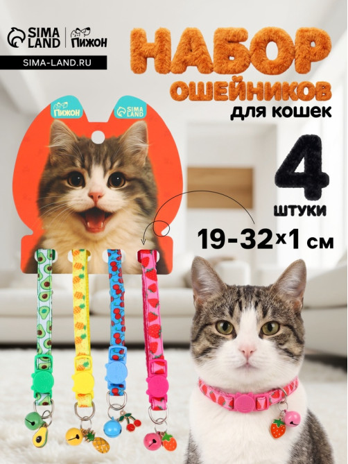 Набор ошейников для кошек «Пижон. Фрукты», 19-32×1 см, 4 шт.