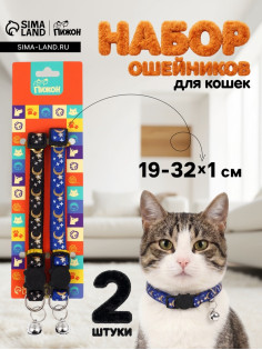 Набор ошейников для кошек «Пижон. Ночь», 19-32×1 см, 2 шт.
