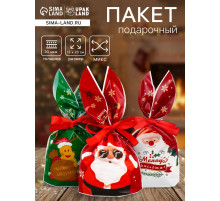 Пакет подарочный новогодний, полиэтиленовый с ушками «Дед Мороз в очках», МИКС, 13×23 см