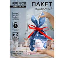 Пакет полиэтиленовый подарочный с ушками «Мишка на луне», 13×23 см