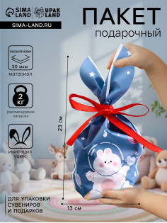 Пакет полиэтиленовый подарочный с ушками «Мишка на луне», 13×23 см