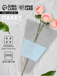 Пакет конус для цветов, с нетканым материалом, 26+7×37 см, голубой