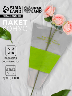 Пакет конус для цветов, с нетканым материалом, 26+7×37 см, салатовый