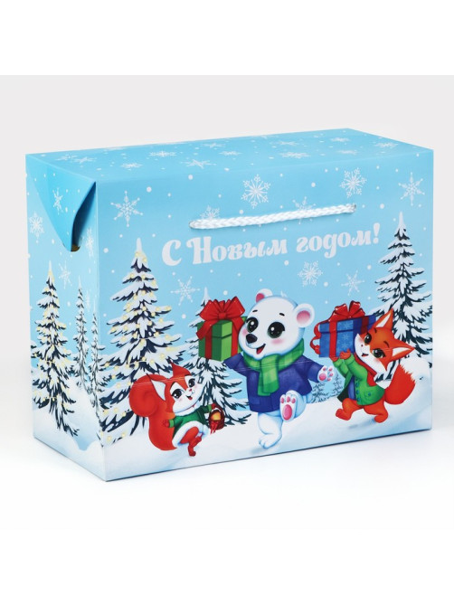 Пакет-коробка подарочный новогодний «С Новым годом», 23×18×11 см