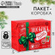 Пакет-коробка подарочный «Новогодняя посылка», 23×18×11 см