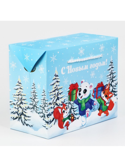 Пакет-коробка подарочный новогодний «С Новым годом», 23×18×11 см