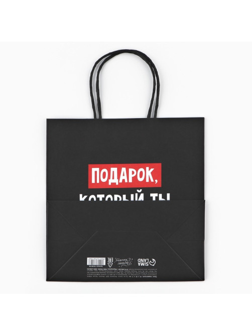 Пакет подарочный новогодний «Подарок, который ты заслужил», 22×22×11 см