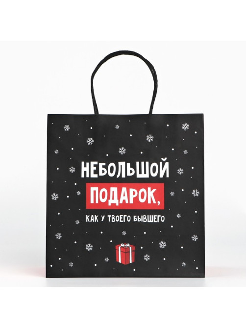 Пакет подарочный новогодний «Небольшой подарок», 22×22×11 см