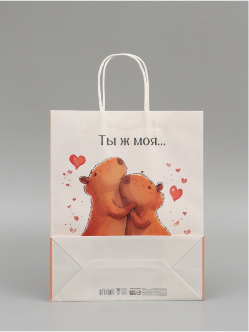 Пакет подарочный бумажный, «Моя Капибара», 32×26×11 см