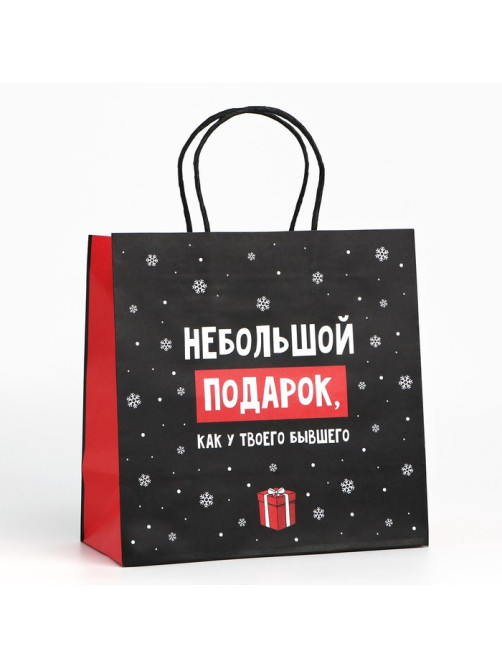 Пакет подарочный новогодний «Небольшой подарок», 22×22×11 см