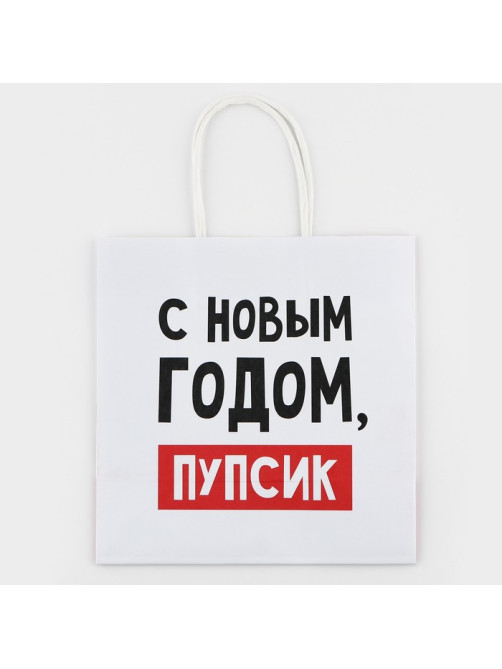 Пакет подарочный новогодний «С Новым годом, пупсик», 22×22×11 см