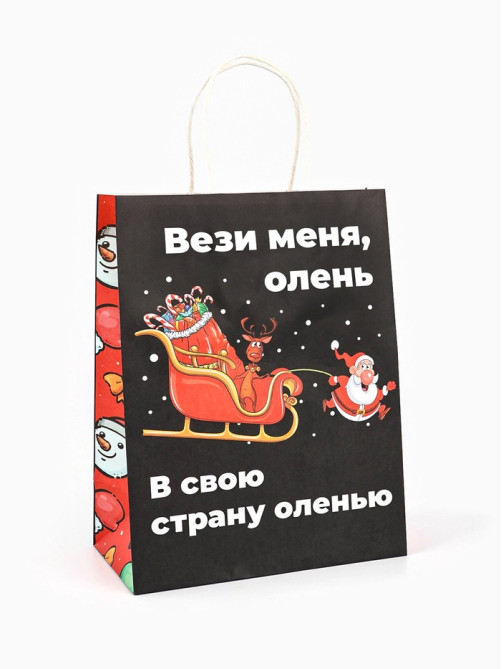 Пакет бумажный подарочный новогодний крафт, «Вези меня», 27×21×11 см
