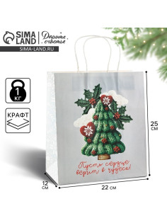 Пакет подарочный новогодний «Чудеса», белый крафт, 22×25×12 см