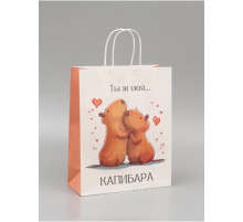 Пакет подарочный бумажный, «Моя Капибара», 32×26×11 см