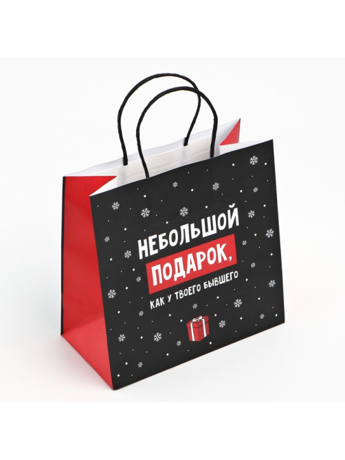 Пакет подарочный новогодний «Небольшой подарок», 22×22×11 см