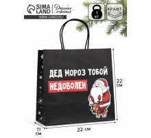Пакет подарочный новогодний «Подарок, который ты заслужил», 22×22×11 см