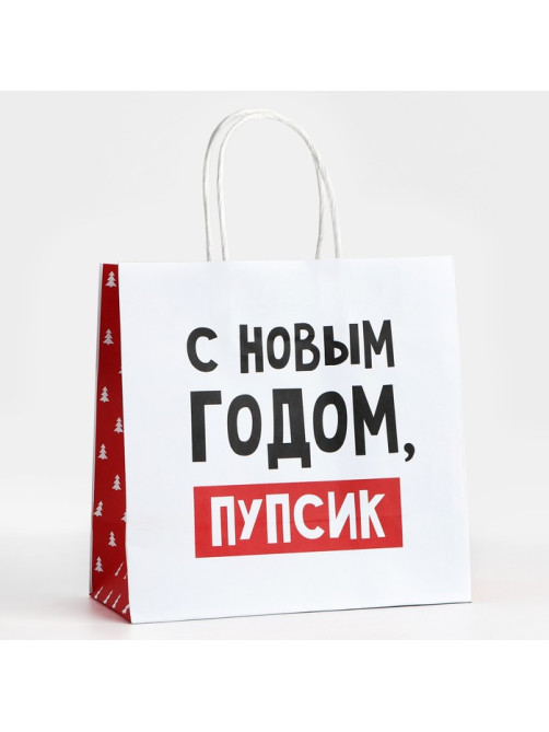 Пакет подарочный новогодний «С Новым годом, пупсик», 22×22×11 см