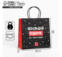 Пакет подарочный новогодний «Небольшой подарок», 22×22×11 см