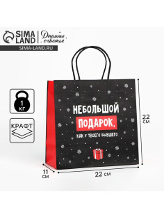Пакет подарочный новогодний «Небольшой подарок», 22×22×11 см