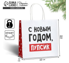 Пакет подарочный новогодний «С Новым годом, пупсик», 22×22×11 см