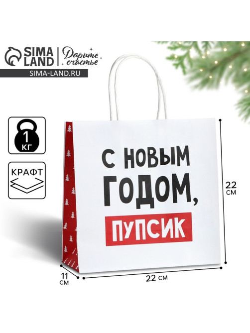 Пакет подарочный новогодний «С Новым годом, пупсик», 22×22×11 см