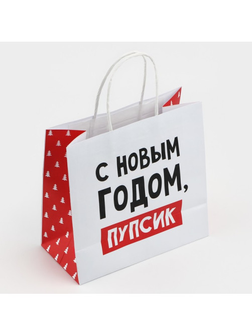 Пакет подарочный новогодний «С Новым годом, пупсик», 22×22×11 см
