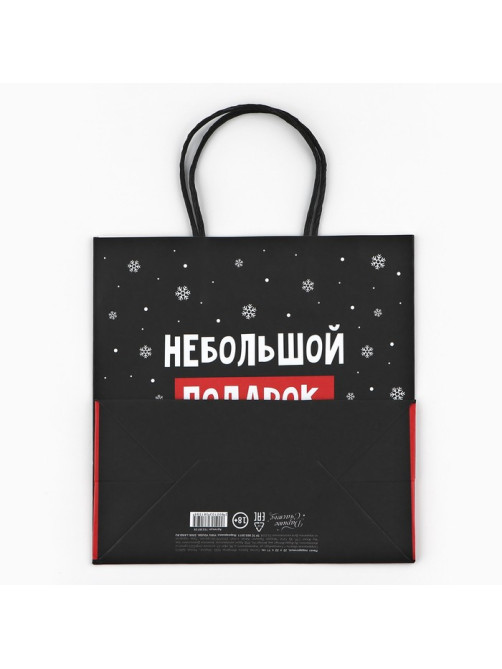 Пакет подарочный новогодний «Небольшой подарок», 22×22×11 см