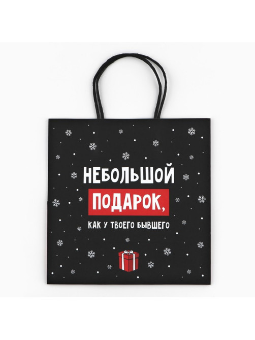 Пакет подарочный новогодний «Небольшой подарок», 22×22×11 см